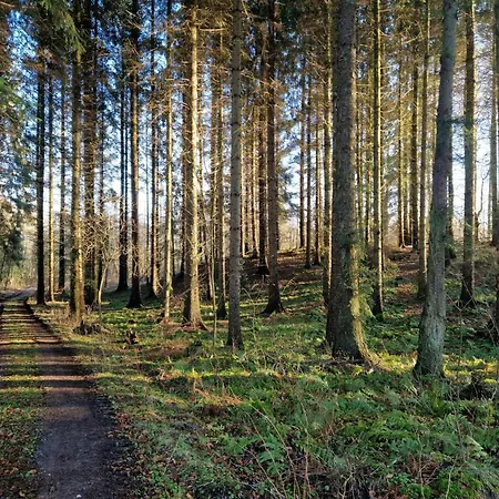 度假居 Seaside Haven With Open Terrace